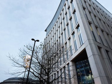 Parlak bir gündüz vakti gökyüzünün altında çıplak bir ağacın yanında cam cepheli şık bir Manchester ofis kulesi..