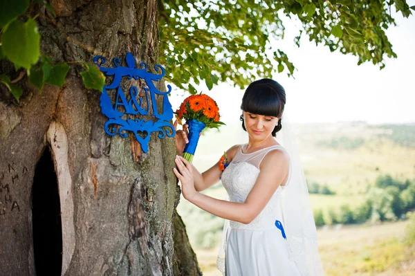 Novia cerca del árbol con ramo a mano y plato decorado — Foto de Stock