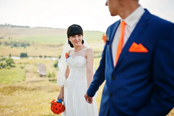 Vőlegény menyasszony kezét tartsa a hegyen — Stock Fotó