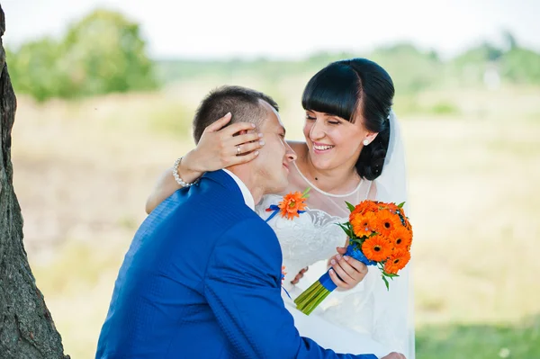 Zitten bruidspaar in de buurt van boom — Stockfoto