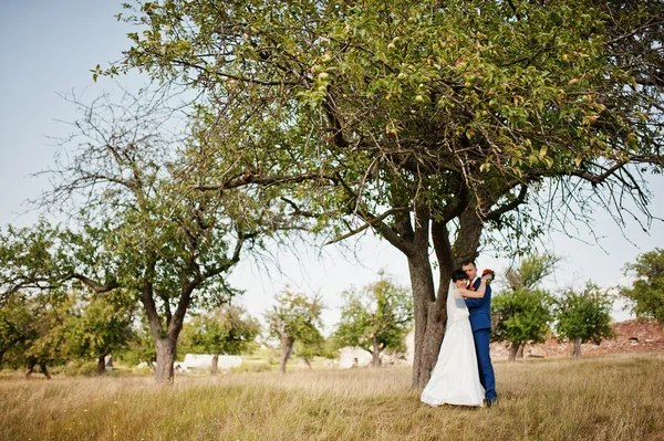 Pareja de boda cerca del árbol en el jardín — Foto de Stock