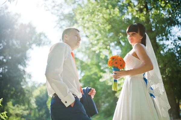 新娘和新郎在日落公园 — 图库照片