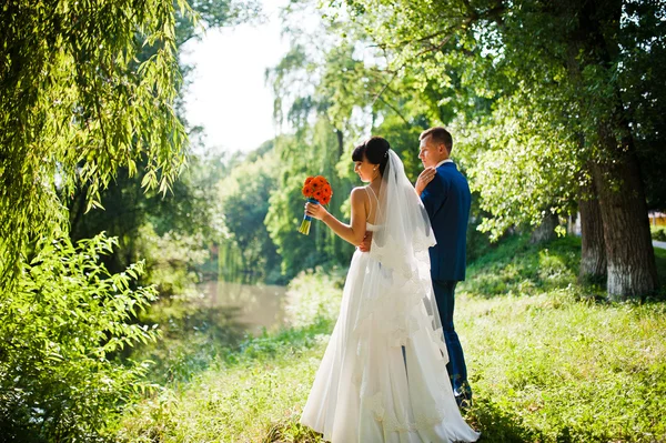 Невеста и жених в парке заката — стоковое фото