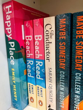 Londra, İngiltere - 12 Aralık 2025: Pembe ve mavi çizgili canlı kitap dikenleri düzenli bir raf, samimi okuma anları davet ediyor.