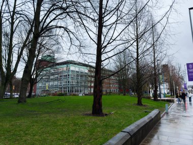 Manchester, İngiltere - 06 Aralık 2025: Manchester 'da cam bir bina, yapraksız ağaçlar ve ıslak bir yaya yolu ile şehir kampüsü sahnesi.
