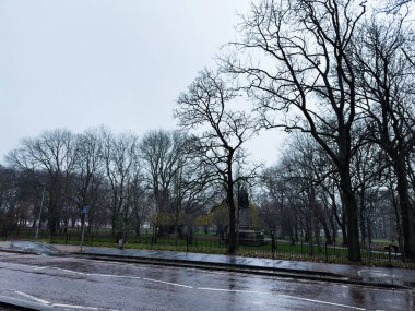 Manchester, İngiltere - Aralık 06, 2025: Manchester 'da yapraksız ağaçlar, bir anıt ve yağmurdan sonra ıslak sokaklar içeren bulutlu park sahnesi.