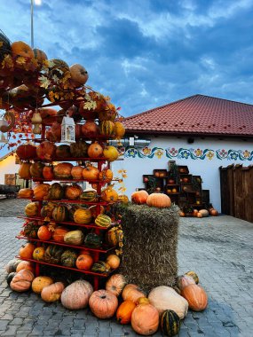 Saman balyasında sonbahar balkabakları. Kırsal bir avlusu ve şenlikli bir dekoru var..