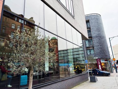 Manchester, İngiltere - 26 Ocak 2026: Cam cephe, Manchester 'da küçük bir zeytin ağacı ve yakındaki bir kafein gösteren şehir manzarası.