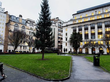 Manchester, İngiltere - 21 Ocak 2026: Manchester 'da sakin bir Parsonage Gardens parkı manzarası merkezi bir ağacın, etrafındaki binaların ve parlayan pencerelerin yer aldığı.