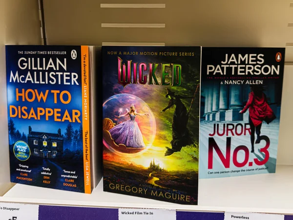 Manchester, İngiltere - 21 Ocak 2026: Bir kitapçıda gerilim ve fantezi hikayelerini gösteren bir sıra kitap kapağı.