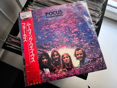 Lviv, Ukrayna - 07 Şubat 2026: Pembe su parıltısıyla dalgaları hareket ettirmeye odaklanan grubun yer aldığı vinil albüm kapağı.