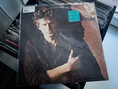 Lviv, Ukrayna - 07 Şubat 2026: Don Henley 'in klasik 1984 rock albümü cover' ı, Moody portresi ve klasik vinil titreşimli Building the Perfect Beast.