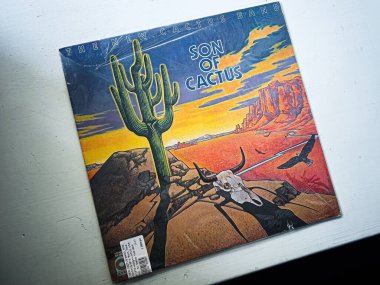 Lviv, Ukrayna - 07 Şubat 2026: 1973 tarihli vinil albüm kapağında kaktüs ve kafatası imgeleriyle çöl günbatımı sahnesi. Yeni Kaktüs Grubu, Kaktüsün Oğlu