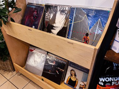 Lviv, Ukrayna - 07 Şubat 2026: Renkli kapaklı ve retro titreşimli bir müzik dükkanında ahşap bir rafta vinil plaklar