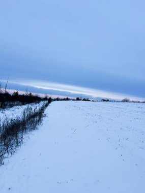 Sakin kar tarlası, uzak ağaçlar ve soluk ışıkla, yumuşak mavi bir kış gökyüzünün altında ufka doğru uzanıyor..