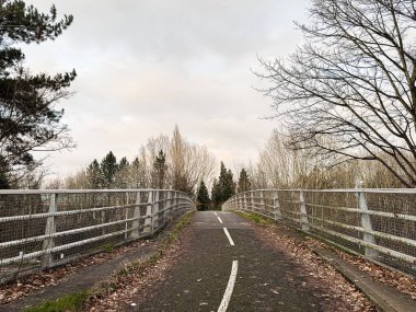 Manchester 'da ağaçlar ve yapraklarla çerçevelenmiş metal bir köprüde sessiz, yükseltilmiş bir yol..