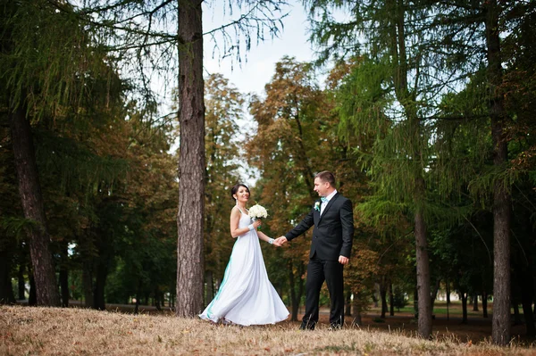 Recién casados en el día de su boda en el parque —  Fotos de Stock