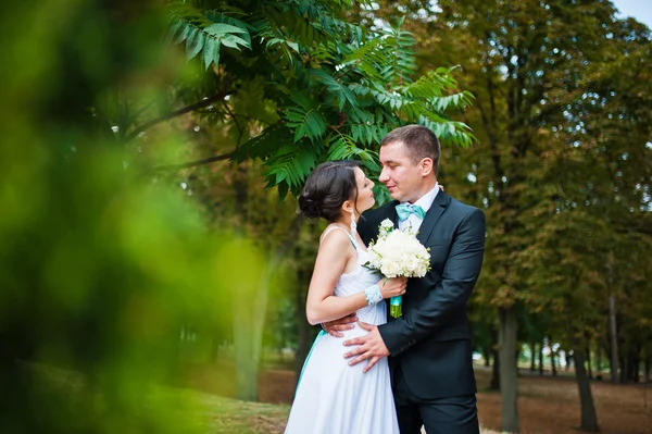 Fraîchement mariés dans leur jour de mariage au parc — Photo