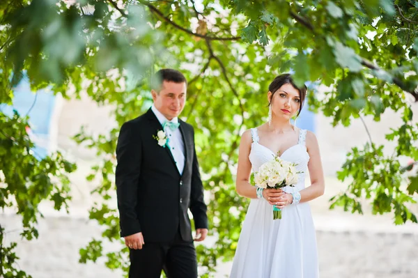 Recém-casados no dia do casamento no parque — Fotografia de Stock