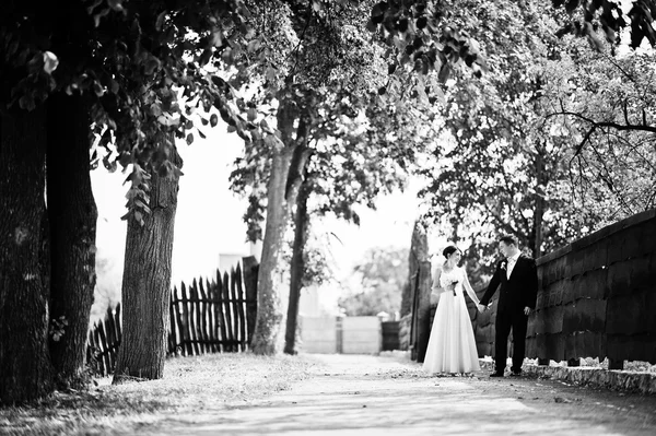 Appena sposati nel giorno del loro matrimonio al parco — Foto Stock