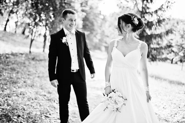 Recién casados en el día de su boda en el parque —  Fotos de Stock