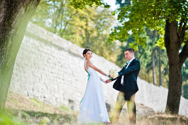 Appena sposati nel giorno del loro matrimonio al parco — Foto Stock