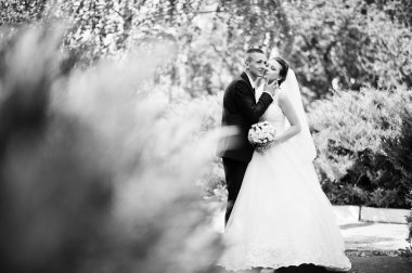 Genç mutlu evlilik çift yeşil park