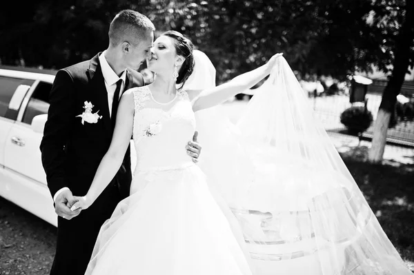 Esküvői pár háttérben limuzin — Stock Fotó