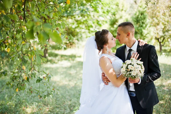 Mladý šťastný Svatební pár na zelený park — Stock fotografie