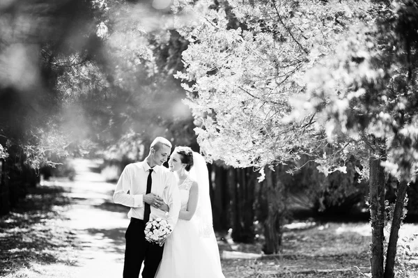 Junges glückliches Hochzeitspaar im grünen Park — Stockfoto