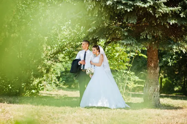 Young happy wedding couple on the green park — Stock Photo, Image