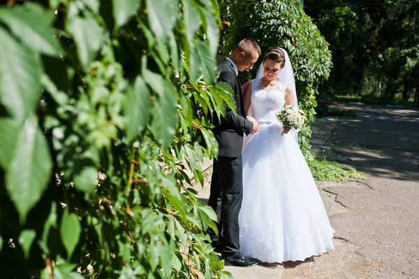 Giovane coppia di nozze felice sul parco verde — Foto Stock