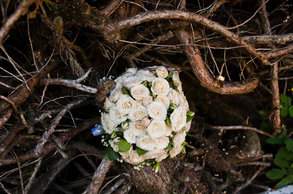 Bröllop bukett bakgrund av trädrötter — Stockfoto