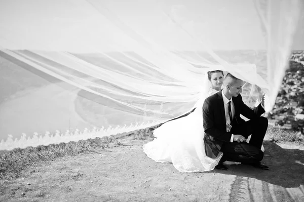 Casal de casamento no panorama da cidade e do rio. noiva com longa ve — Fotografia de Stock