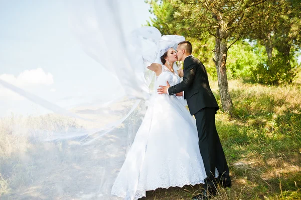 Casal de casamento no panorama da cidade e do rio. noiva com longa ve — Fotografia de Stock