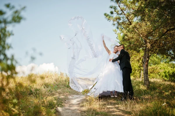 Pareja de boda en panorama de la ciudad y el río. novia con largo ve — Foto de Stock