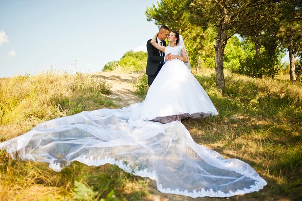 Casal de casamento no panorama da cidade e do rio. noiva com longa ve — Fotografia de Stock