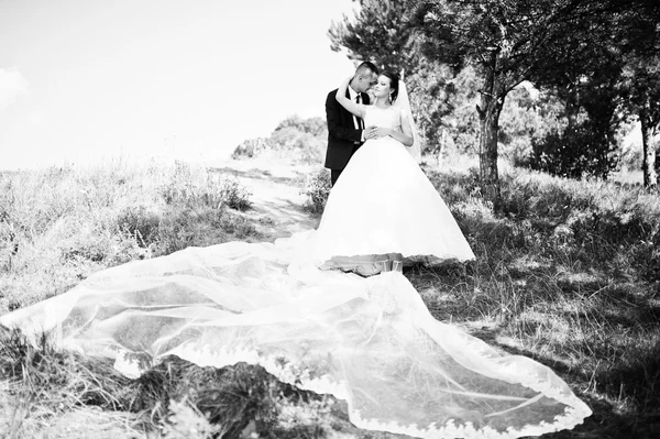 Casal de casamento no panorama da cidade e do rio. noiva com longa ve — Fotografia de Stock