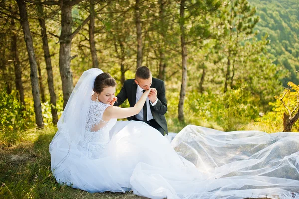 Couple de mariage sur panorama de la ville et de la rivière. mariée avec longue ve — Photo