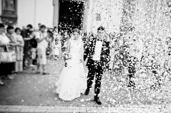 La coppia nuziale esce dalla chiesa sotto petali di rose. sfocatura — Foto Stock