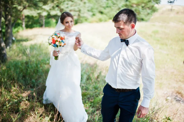 Свадебная пара в сосновом лесу влюблена — стоковое фото