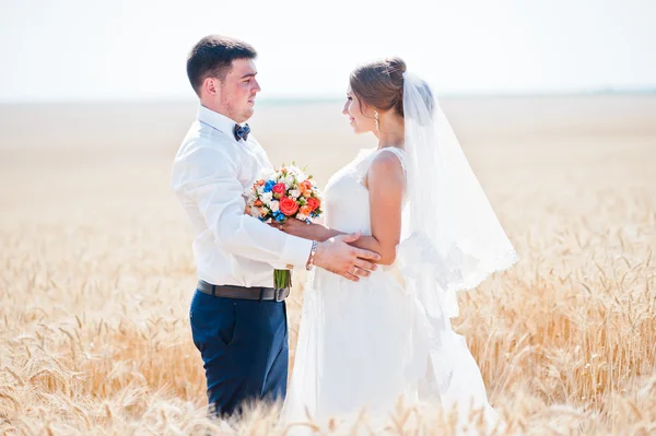 Pareja de boda de moda y feliz en el campo de trigo en el soleado da — Foto de Stock