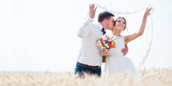 Модная и счастливая свадебная пара целуется на пшеничном поле в s — стоковое фото