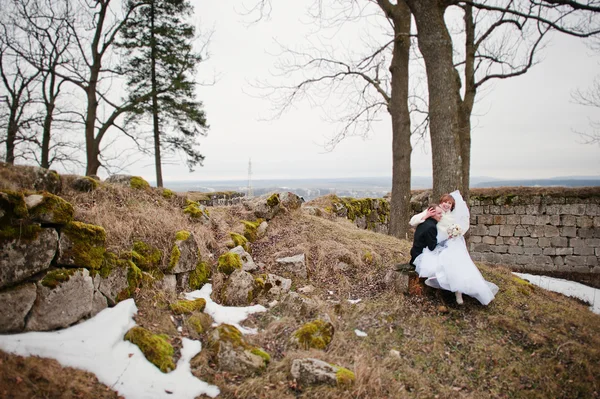 冬の背景に若い結婚式のカップルの石 landskape とワシントン州 — ストック写真