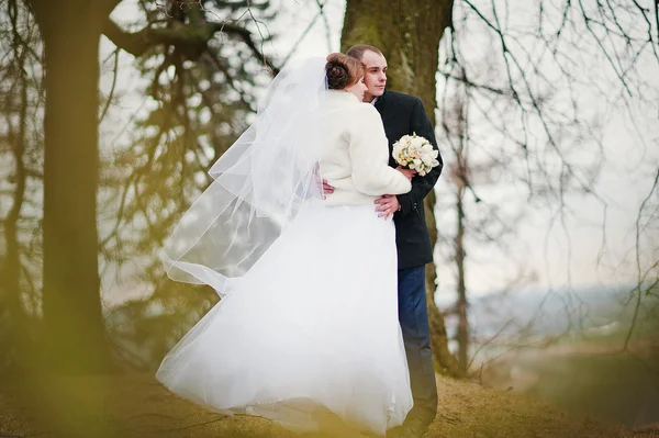 Para młoda ślub na zimowe tło kamień landskape i wa — Zdjęcie stockowe