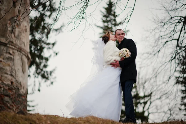 Jonge bruidspaar op winter achtergrond stenen landskape en wa — Stockfoto