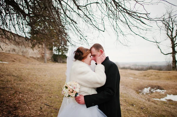 Young wedding couple on winter background stone landskape and wa — Stock Photo, Image