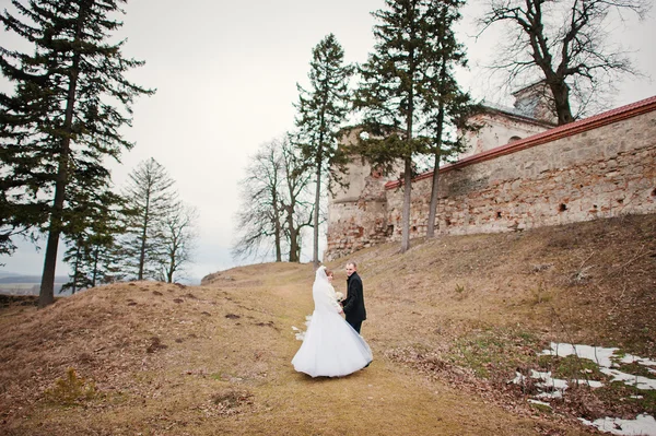 Jonge bruidspaar op winter achtergrond stenen landskape en wa — Stockfoto