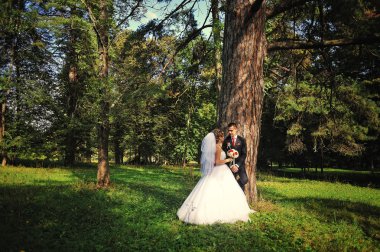 Genç ve düzülmüş Düğün çifti sonbahar ormanda