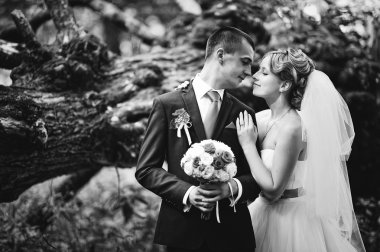 Genç ve düzülmüş Düğün çifti sonbahar ormanda